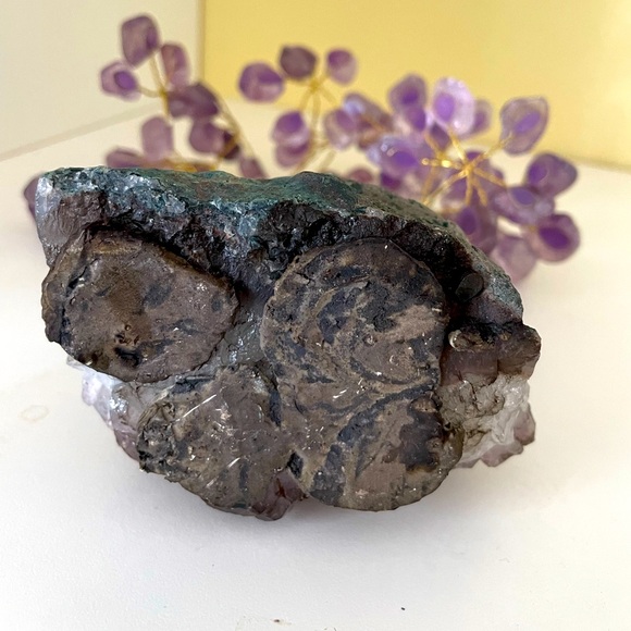 Genuine Amethyst Tree - Picture 4 of 9